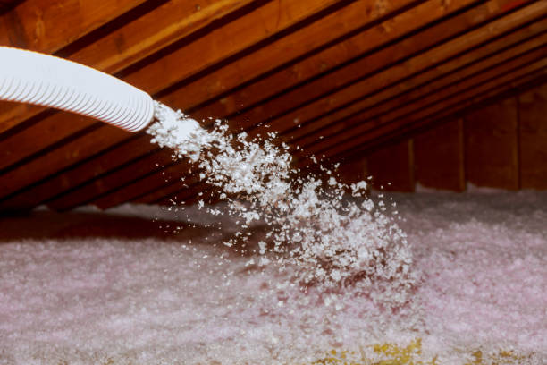 Best Professional Insulation Contractor  in Hollister, MO