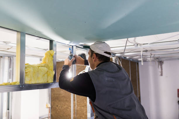 Professional Insulation Contractor in Hollister, MO