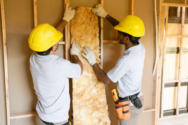Best Insulation Replacement Services  in Hollister, MO