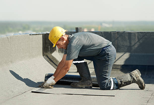 Best Residential Insulation Services  in Hollister, MO