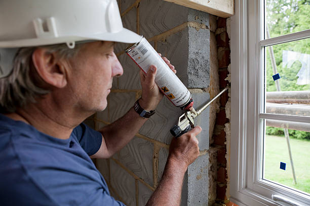 Best Spray Foam Insulation  in Hollister, MO