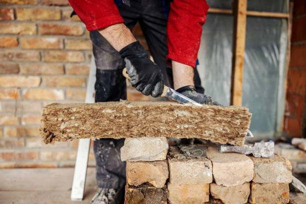 Best Attic Insulation Near Me  in Hollister, MO