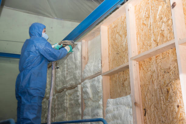 Best Best Insulation Companies  in Hollister, MO
