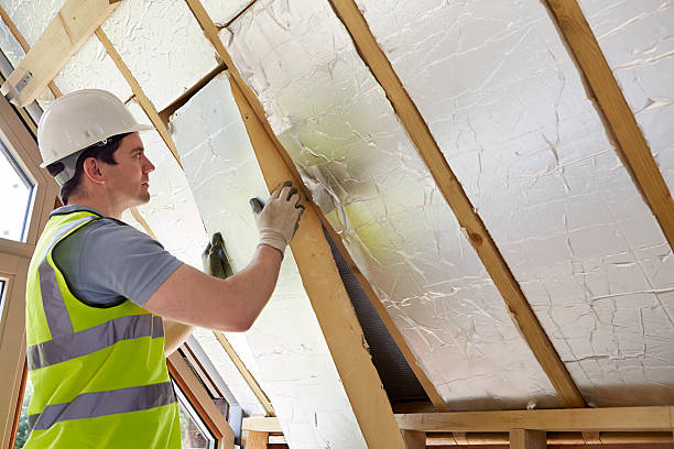 Best Insulation Repair Services  in Hollister, MO