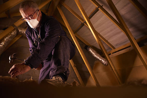 Best Insulation Contractors for Homes  in Hollister, MO