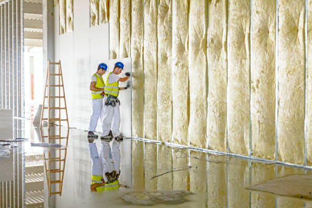 Best Garage Insulation Installation  in Hollister, MO